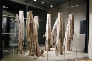  Molly Koehn and Madison Creech Potentially Invasive, Probably Harmful Installation at Tempe Center for the Arts, Tempe, AZ Eucalyptus eco-printed raw silk, screen print, eucalyptus stumps, dowels, pdf, vinyl 