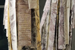  Molly Koehn and Madison Creech Potentially Invasive, Probably Harmful Installation at Tempe Center for the Arts, Tempe, AZ Eucalyptus eco-printed raw silk, screen print, eucalyptus stumps, dowels, pdf, vinyl 