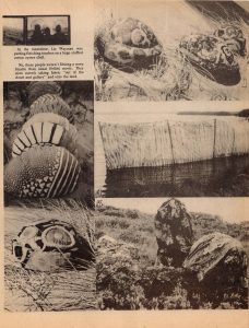 Summer 1979_Page_3_Image_0001