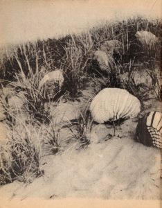 Summer 1979_Page_4_Image_0001