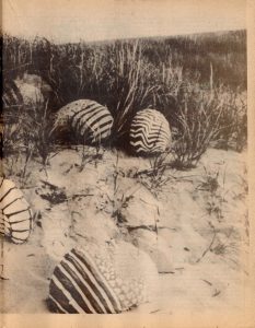 Summer 1979_Page_5_Image_0001