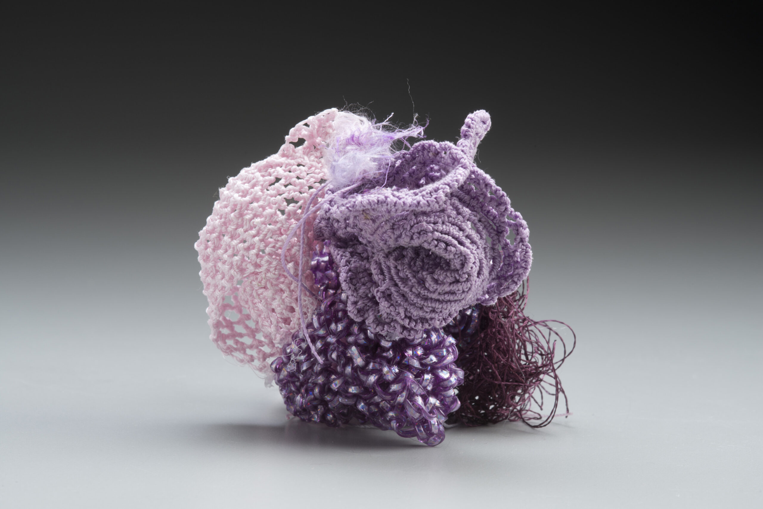 Biomorphic Object: Pocillopora Coral