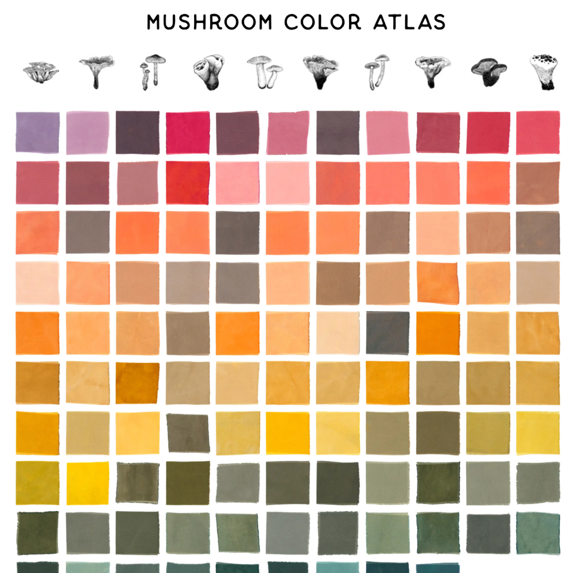 Julie Beeler’s Mushroom Color Atlas Surface Design Association