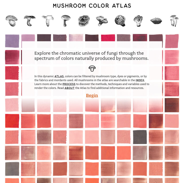 Julie Beeler’s Mushroom Color Atlas Surface Design Association