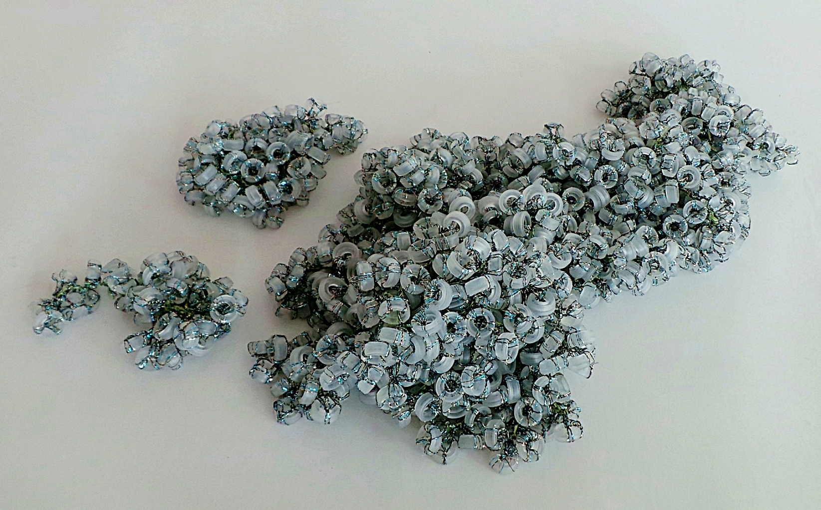 Hydrozoa Translucens, colony of polyps