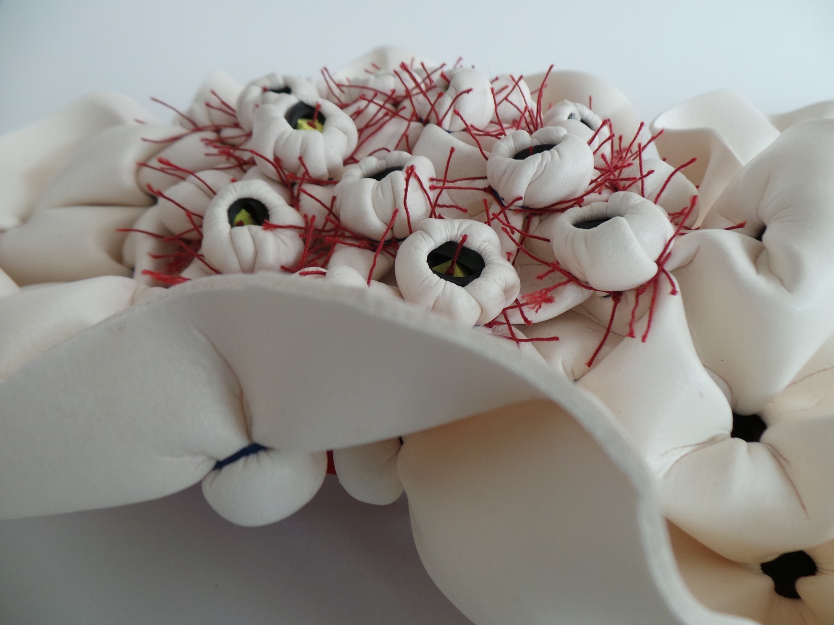 Spongia Sessilia, sea poks