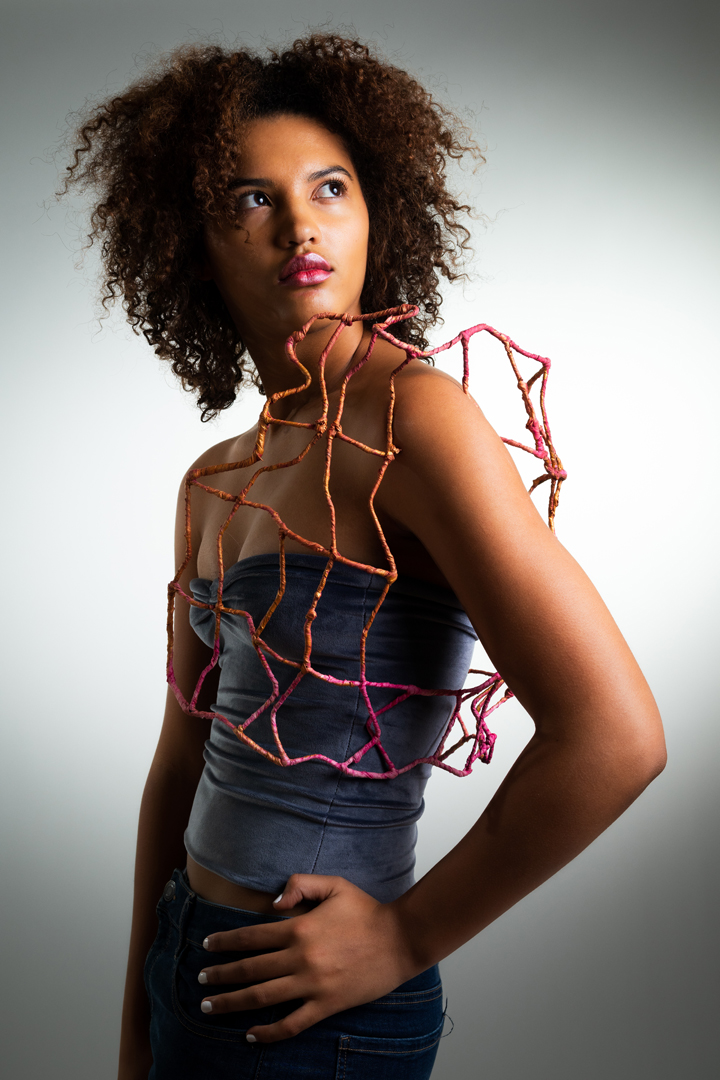 Wire and Cloth Vest
