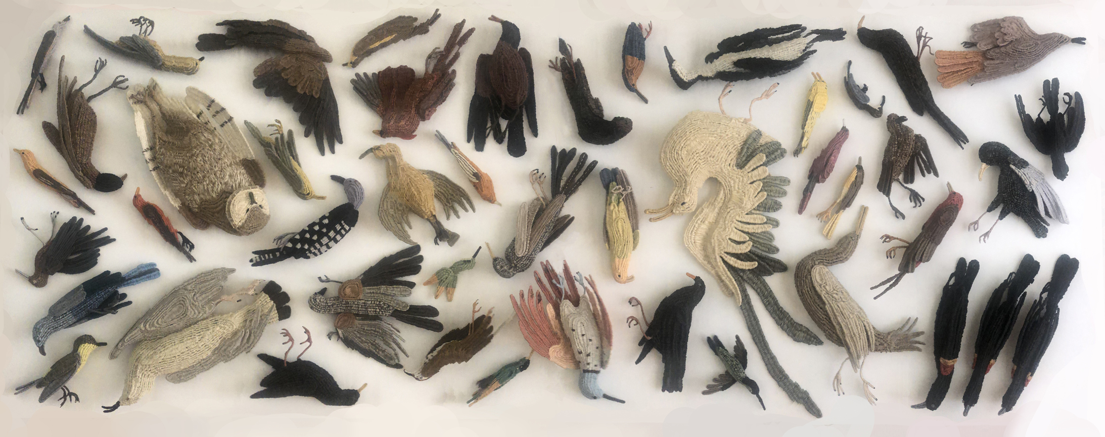 Memento Mori: The 100 Dead Birds Project