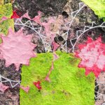 Paper Pulp Palimpsest with Joy Scanlon | Online