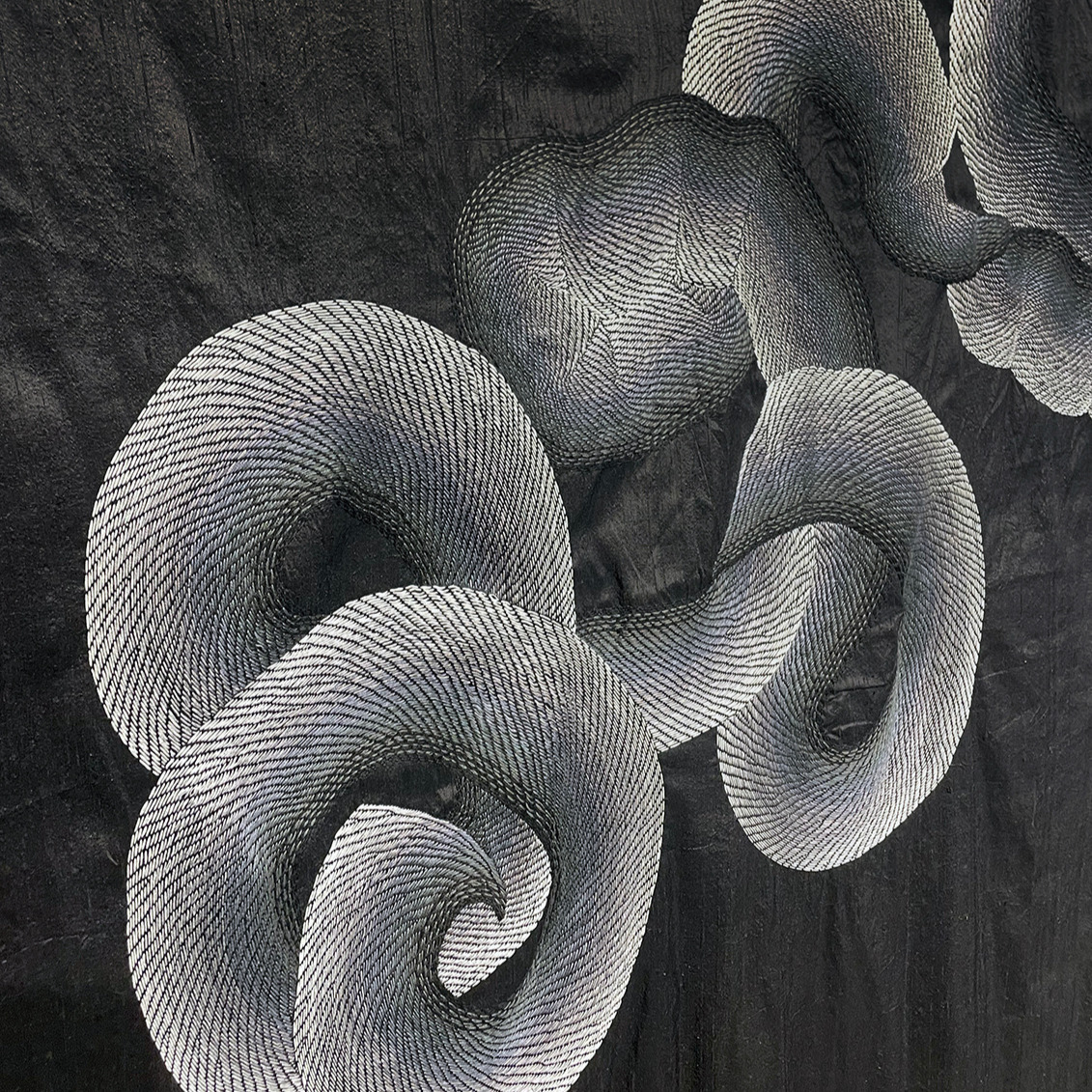Echoes: Rena Wood Exhibition
