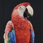 Dani Ives Painting with Wool: Color, Texture, and Creative Voice in Fiber 5 Day Retreat